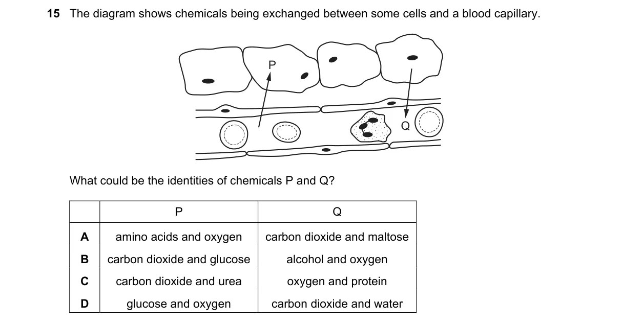 Question 15 from 5090/11/O/N/18