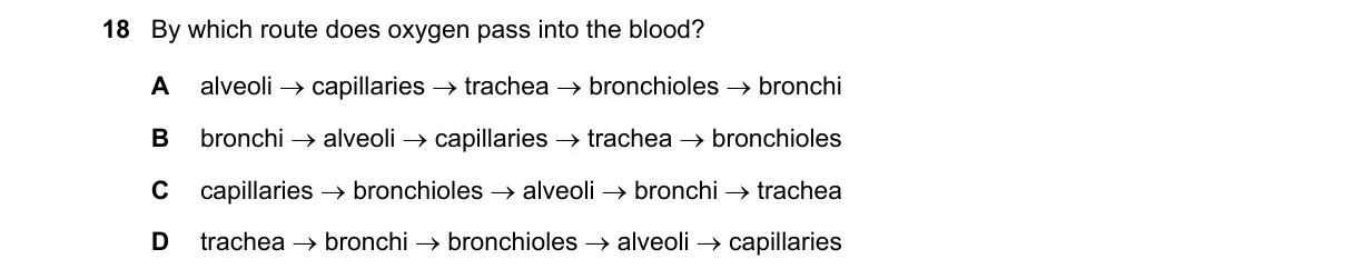 Question 18 from 5090/11/O/N/18