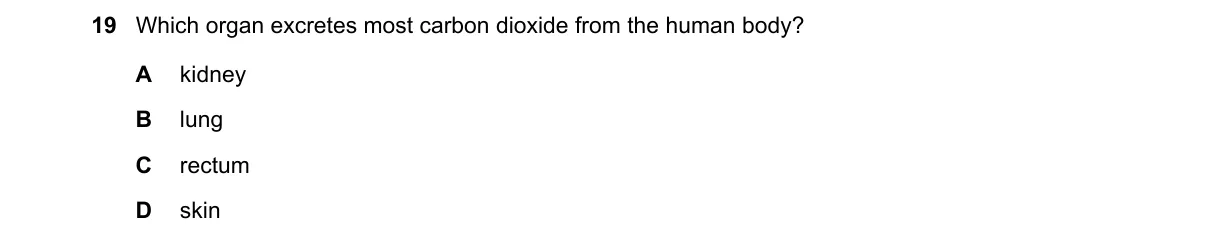 Question 19 from 5090/11/O/N/18