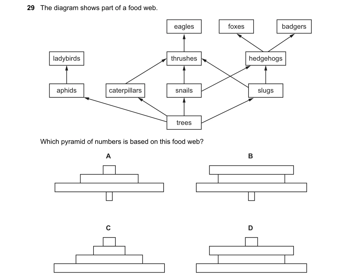 Question 29 from 5090/11/O/N/18