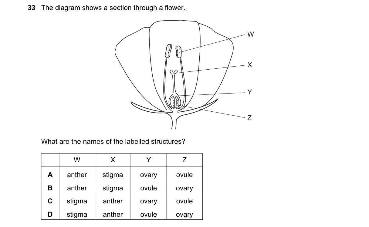 Question 33 from 5090/11/O/N/18