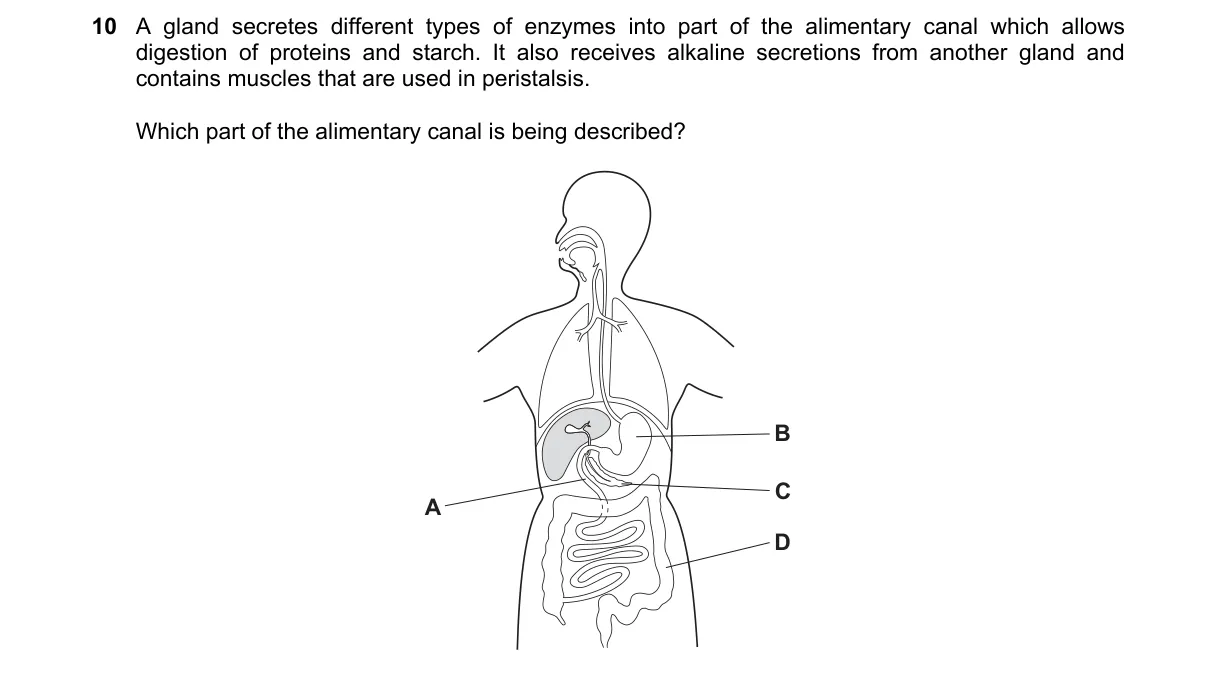 Question 10 from 5090/12/O/N/18