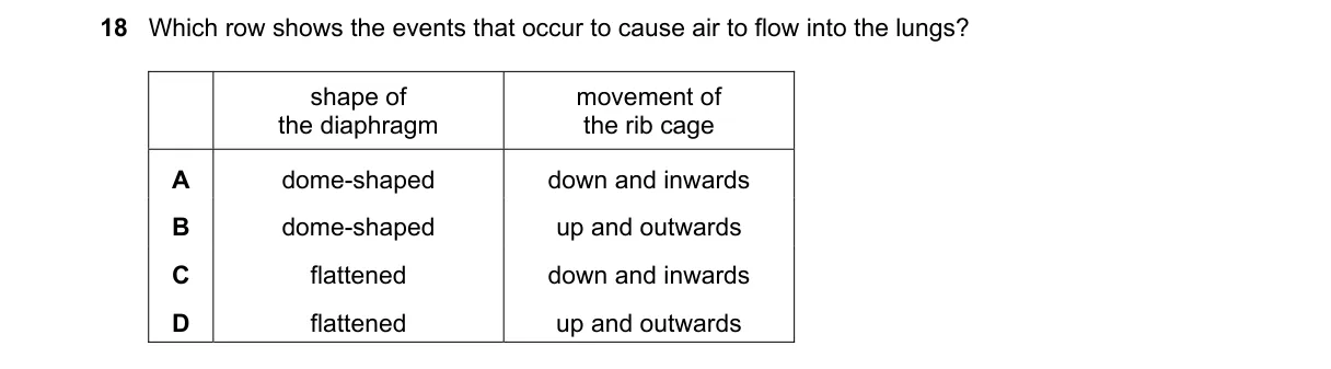 Question 18 from 5090/12/O/N/18