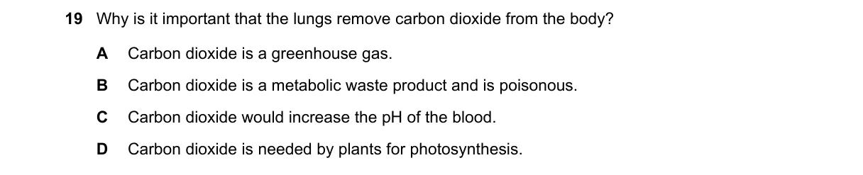 Question 19 from 5090/12/O/N/18