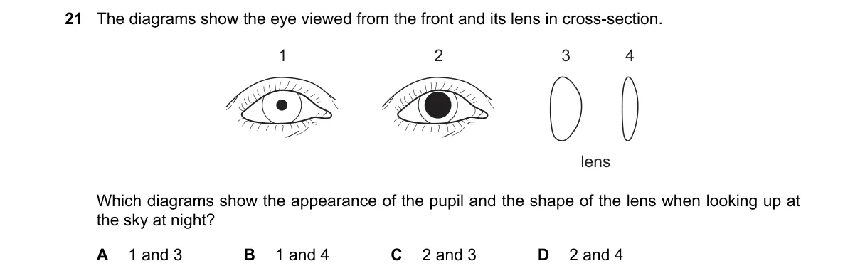 Question 21 from 5090/12/O/N/18