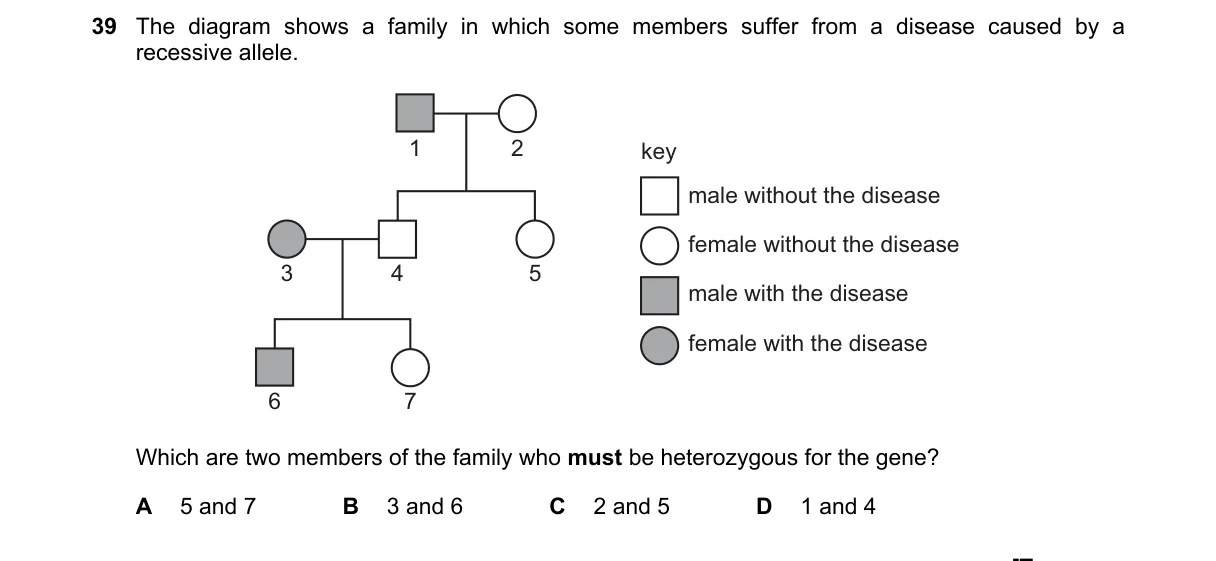 Question 39 from 5090/12/O/N/18