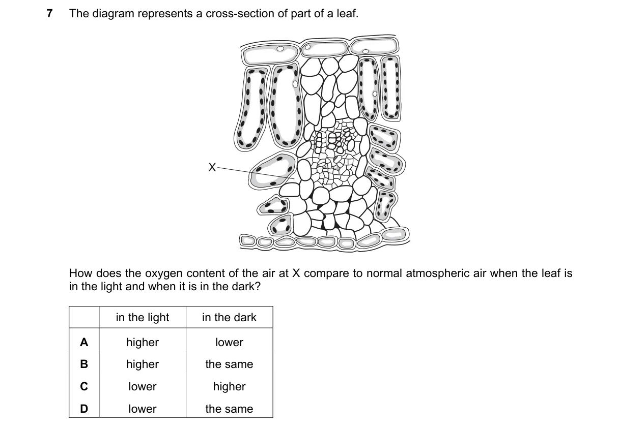 Question 7 from 5090/12/O/N/18