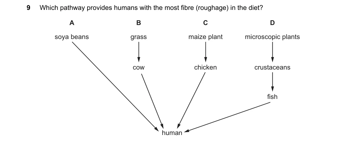 Question 9 from 5090/12/O/N/18