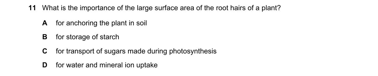 Question 11 from 5090/11/O/N/19