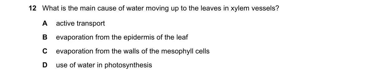 Question 12 from 5090/11/O/N/19