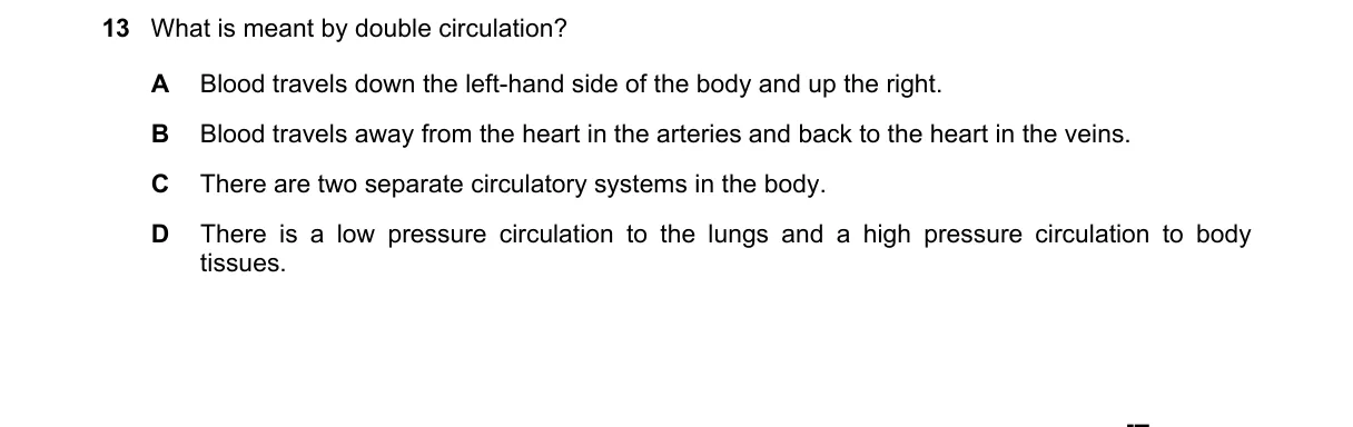Question 13 from 5090/11/O/N/19