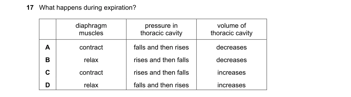 Question 17 from 5090/11/O/N/19
