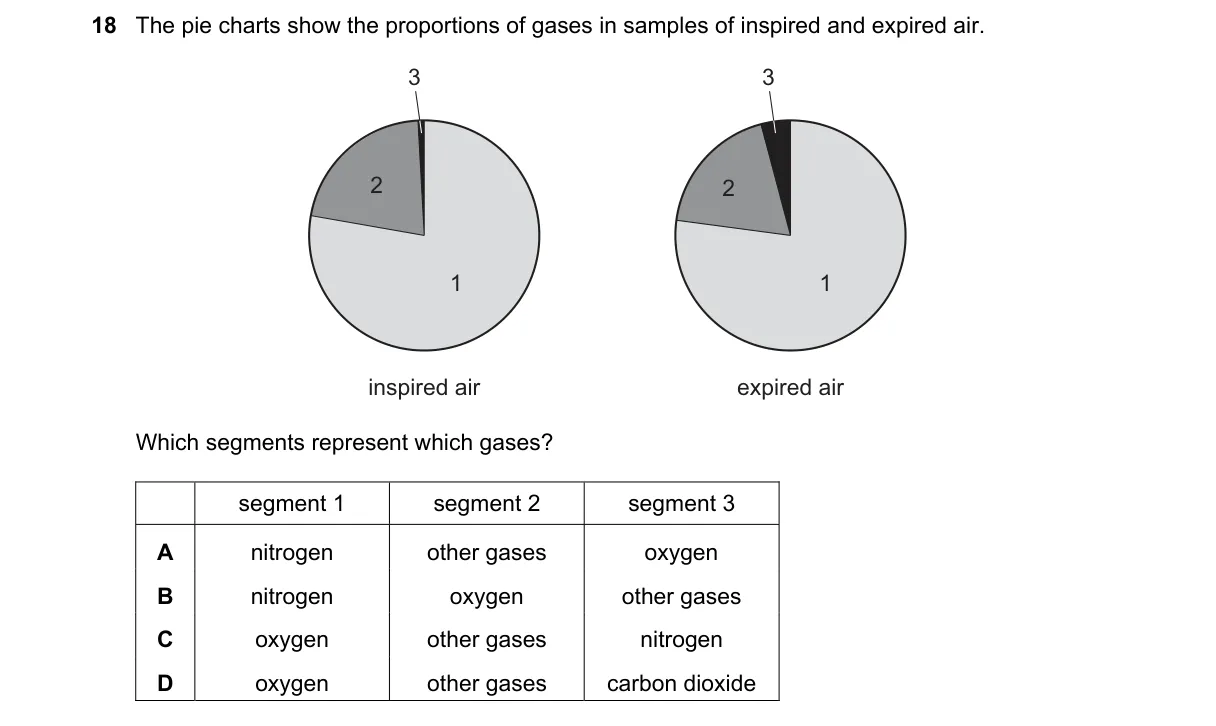 Question 18 from 5090/11/O/N/19