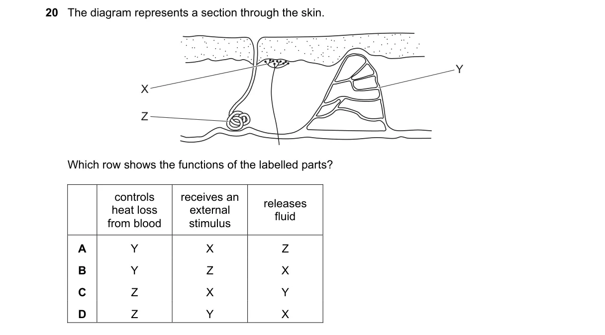 Question 20 from 5090/11/O/N/19