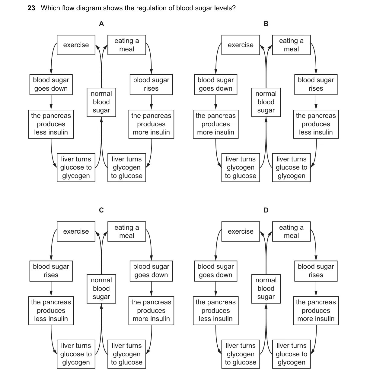 Question 23 from 5090/11/O/N/19