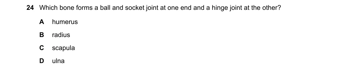Question 24 from 5090/11/O/N/19