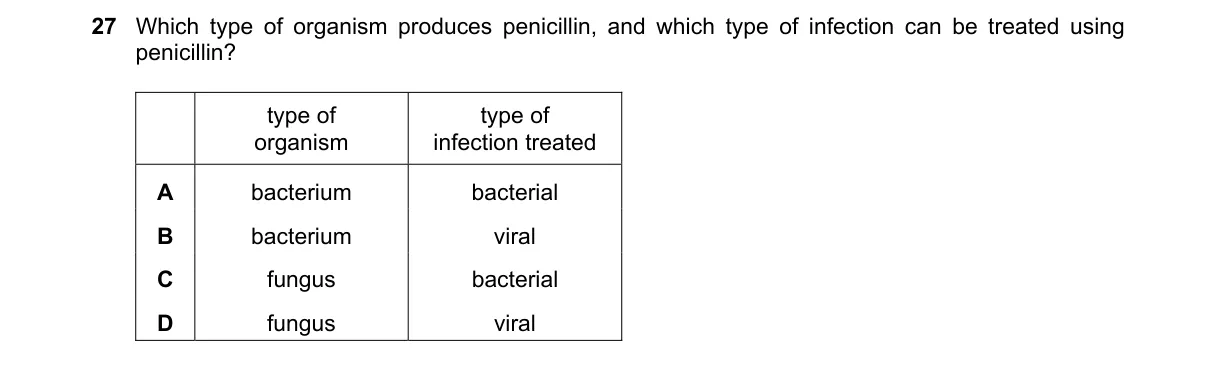 Question 27 from 5090/11/O/N/19