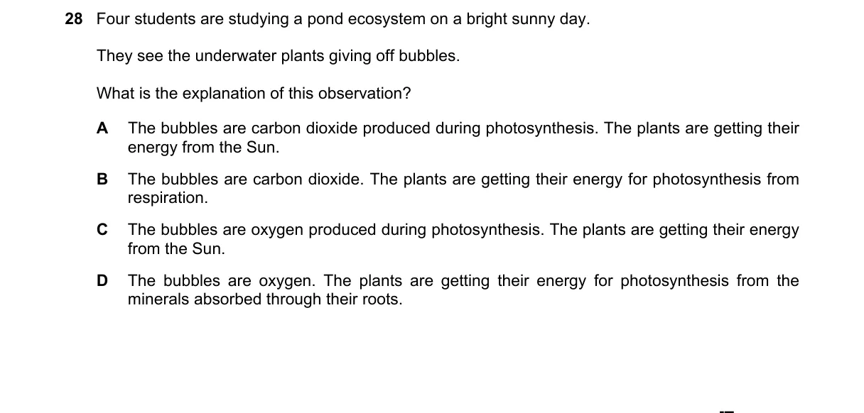 Question 28 from 5090/11/O/N/19