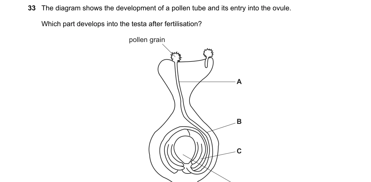 Question 33 from 5090/11/O/N/19