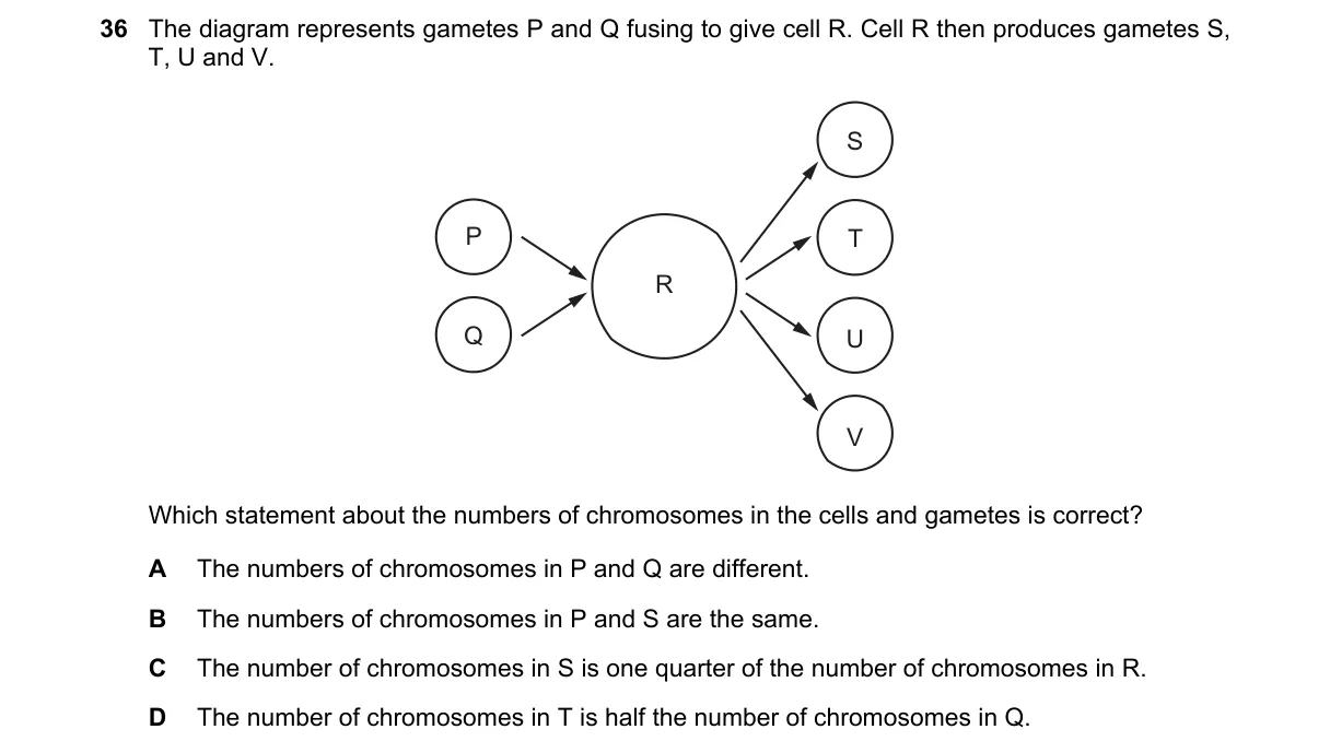 Question 36 from 5090/11/O/N/19
