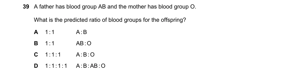 Question 39 from 5090/11/O/N/19