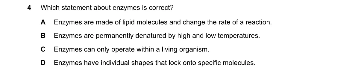 Question 4 from 5090/11/O/N/19