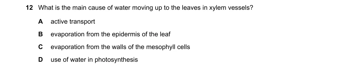 Question 12 from 5090/12/O/N/19