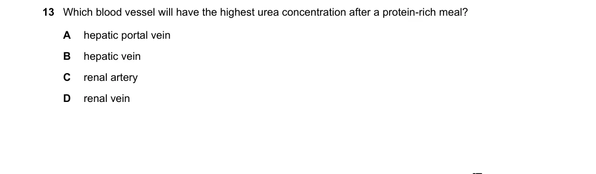 Question 13 from 5090/12/O/N/19