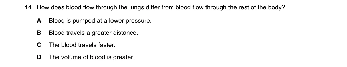 Question 14 from 5090/12/O/N/19