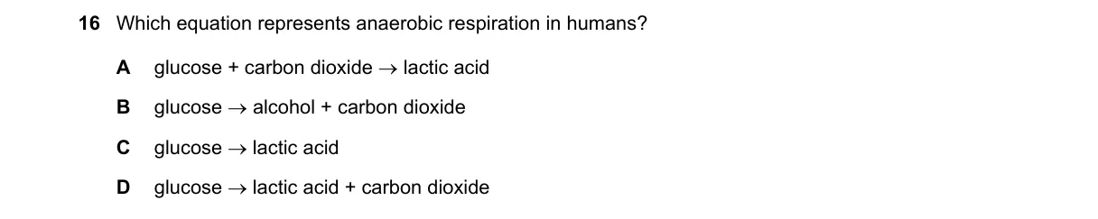 Question 16 from 5090/12/O/N/19