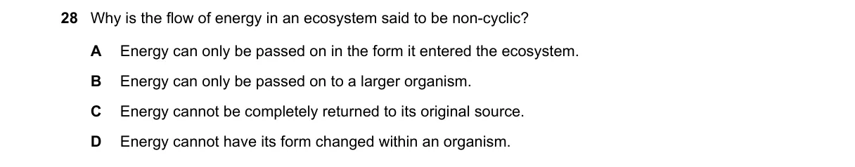 Question 28 from 5090/12/O/N/19