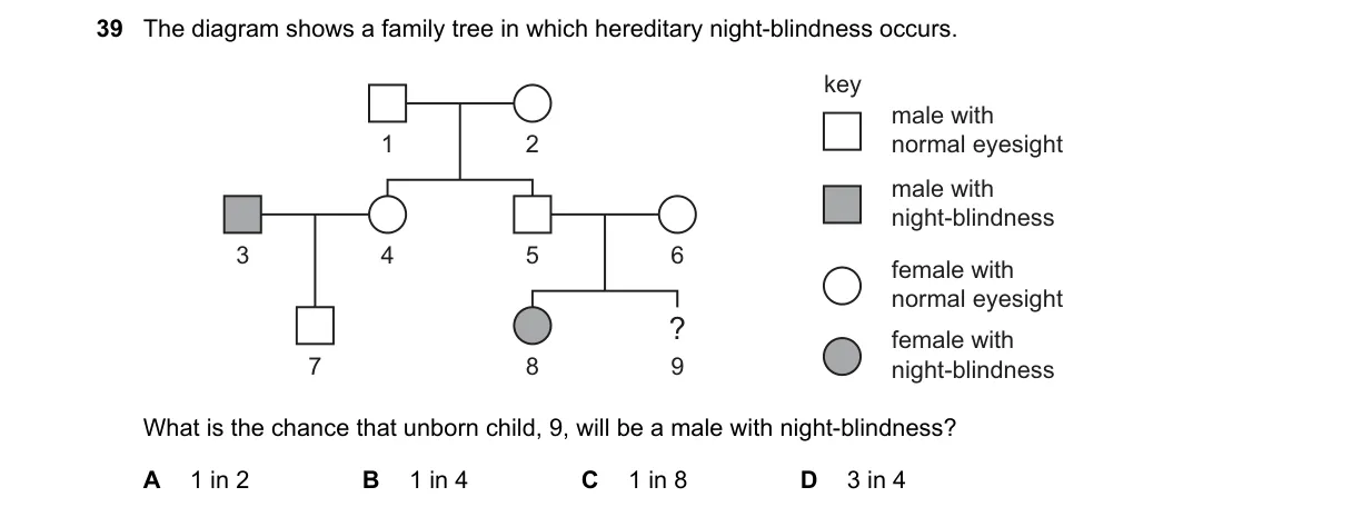 Question 39 from 5090/12/O/N/19
