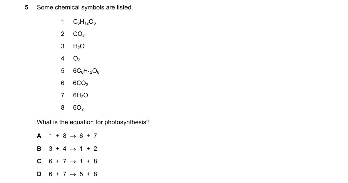 Question 5 from 5090/12/O/N/19