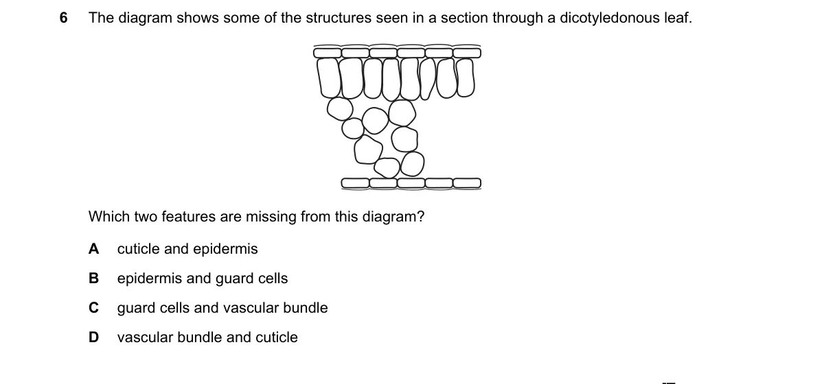 Question 6 from 5090/12/O/N/19