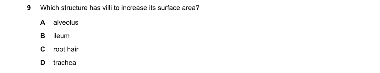 Question 9 from 5090/12/O/N/19