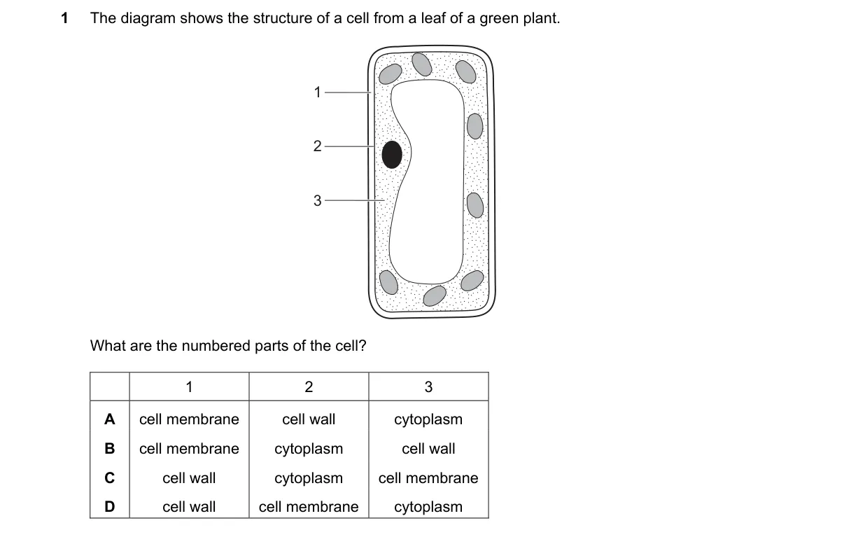 Question 1 from 5090/11/O/N/20