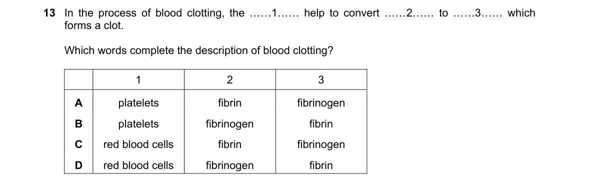 Question 13 from 5090/11/O/N/20