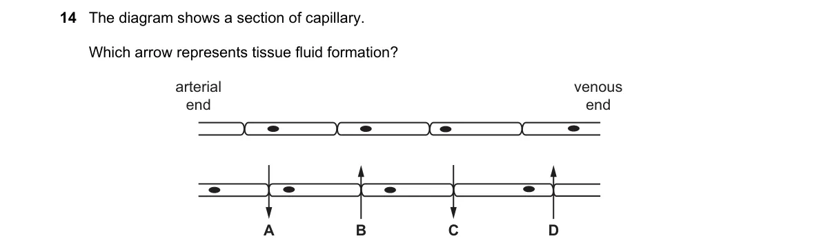 Question 14 from 5090/11/O/N/20