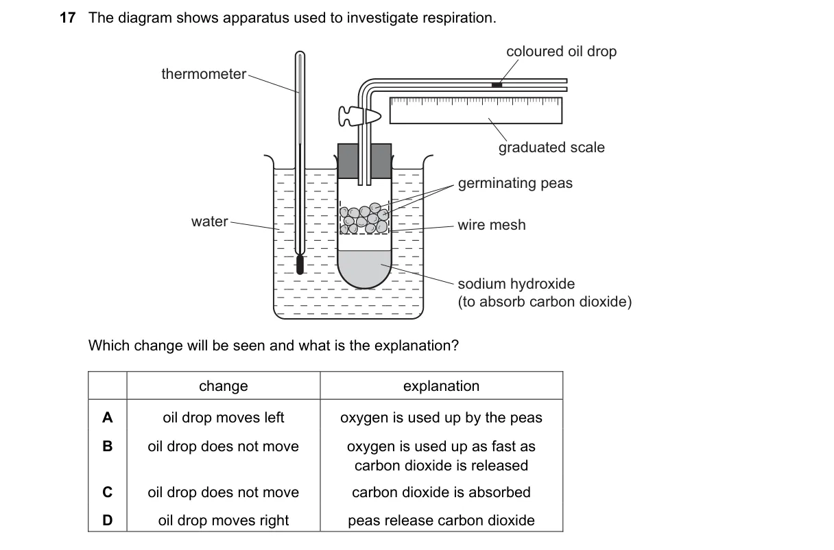 Question 17 from 5090/11/O/N/20