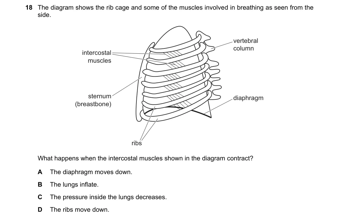 Question 18 from 5090/11/O/N/20