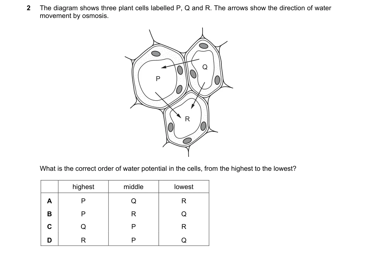 Question 2 from 5090/11/O/N/20
