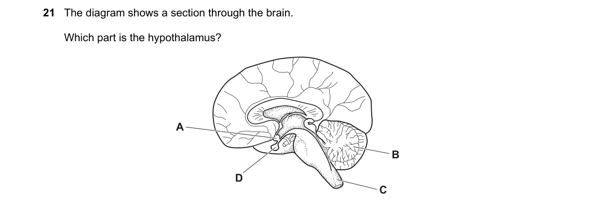 Question 21 from 5090/11/O/N/20