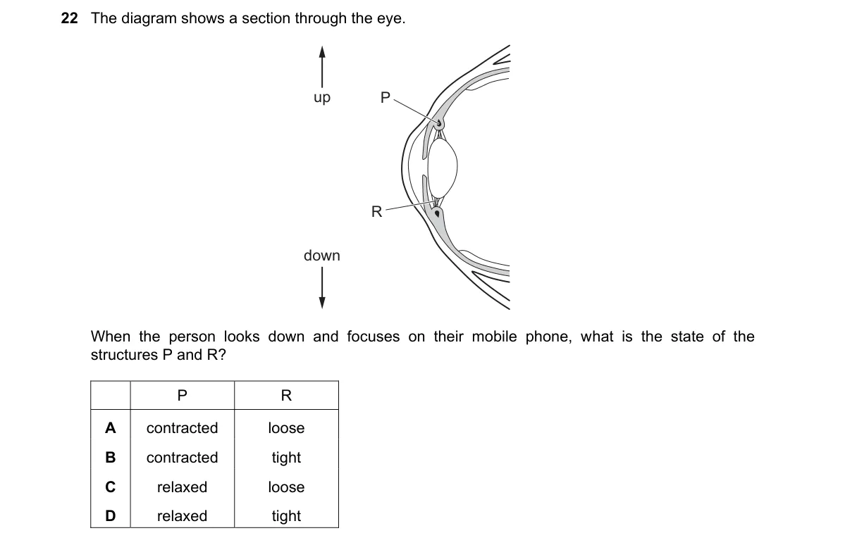Question 22 from 5090/11/O/N/20