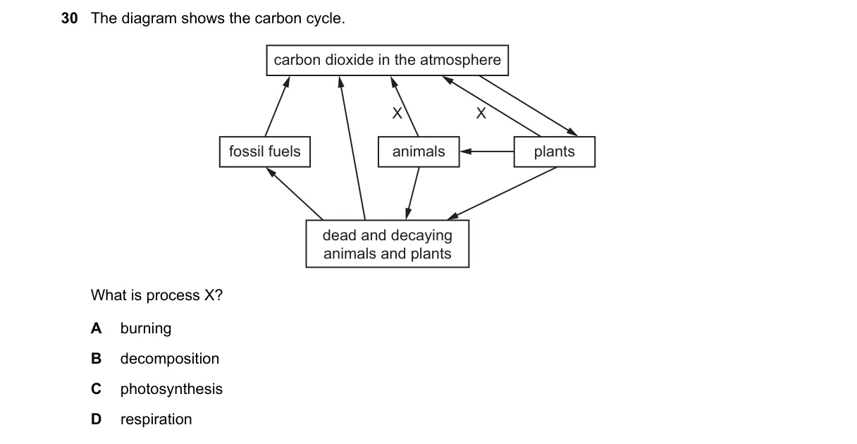 Question 30 from 5090/11/O/N/20