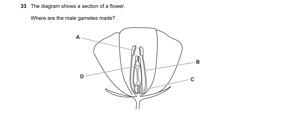 Question 33 from 5090/11/O/N/20