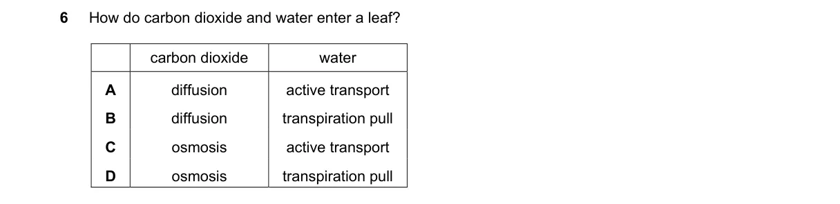 Question 6 from 5090/11/O/N/20