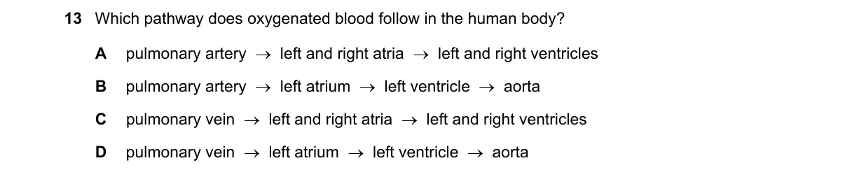 Question 13 from 5090/12/O/N/20