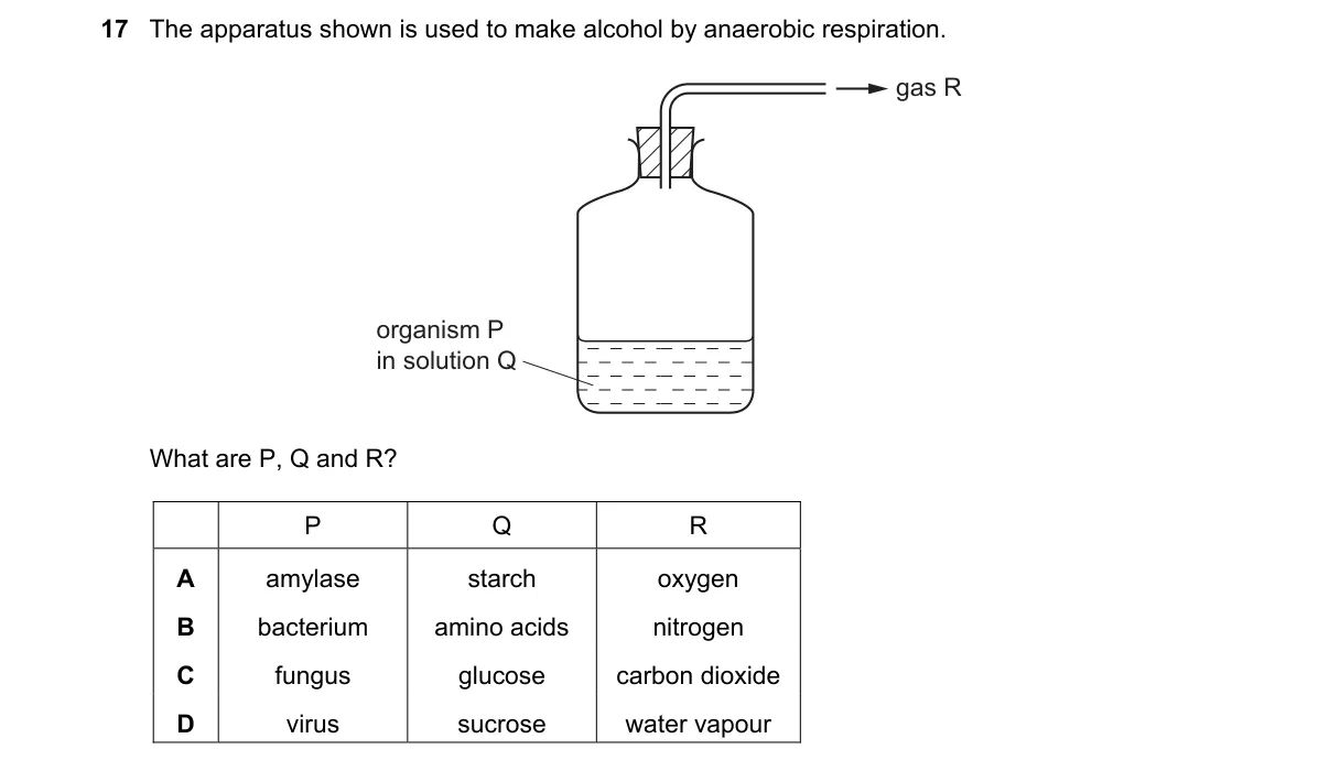 Question 17 from 5090/12/O/N/20