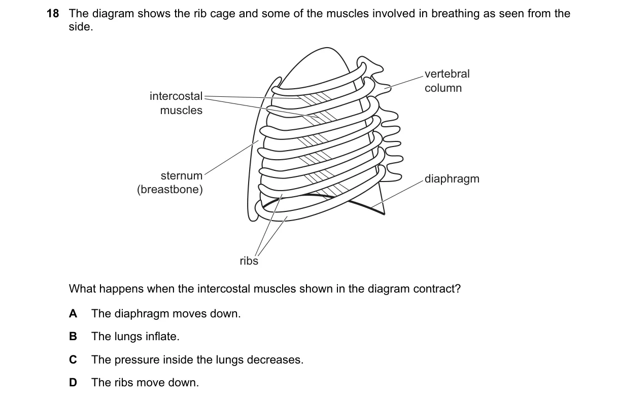 Question 18 from 5090/12/O/N/20