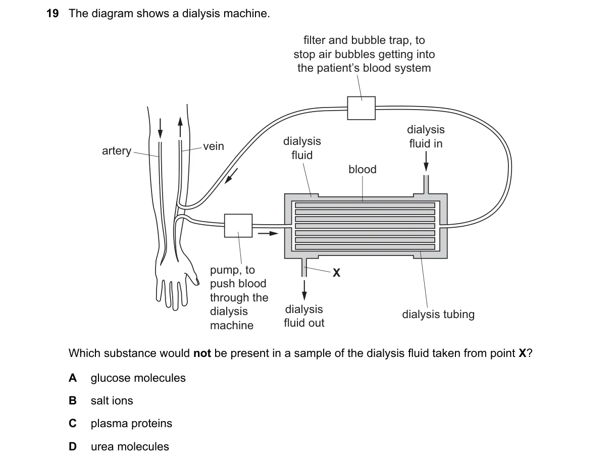 Question 19 from 5090/12/O/N/20